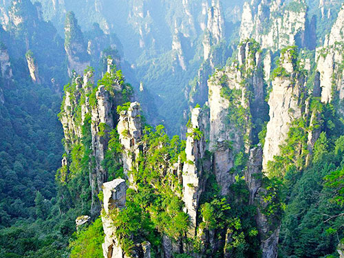 森(sēn)林(lín)公園