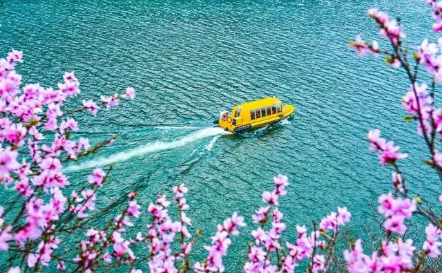 洛陽到(dào)青天河(hé)一(yī)日(rì)遊--洛陽到(dào)焦作(zuò)旅遊（洛陽到(dào)青要(yào)山(shān)多(duō)少(shǎo)公裡(lǐ)）