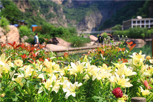 1677806864114486.jpg bc7d733c-c24c-4d3e-982c-6962944dee20.jpg