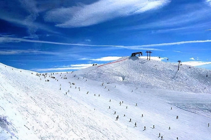 1677806909209279.jpg u=3058201359,2071835355&fm=253&fmt=auto&app=120&f=PNG.webp.jpg