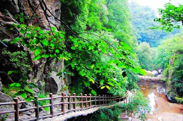 竹林(lín)瀑布、山(shān)清水(shuǐ)秀：栾川寨溝遊玩(wán)全攻略（洛陽栾川旅遊攻略）
