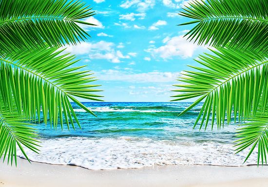 新婚蜜月(yuè)海(hǎi)島遊最佳好(hǎo)去(qù)處推薦（新婚夫婦蜜月(yuè)旅行(xíng)去(qù)哪裡(lǐ)好(hǎo)?）