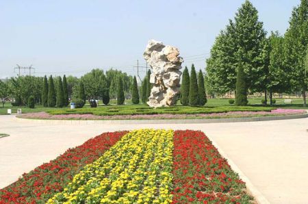 走進龍鄉(xiāng)槐魂 濮陽的(de)綠(lǜ)色莊園（濮陽美(měi)麗(lì)鄉(xiāng)村(cūn)2021）