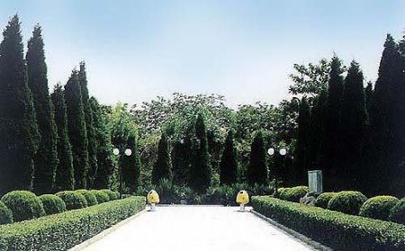 小(xiǎo)學生(shēng)春遊中原綠(lǜ)色莊園一(yī)日(rì)遊攻略（中原綠(lǜ)色莊園在哪個(gè)城(chéng)市(shì)）