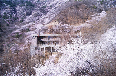 新鄉(xiāng)南(nán)太行(xíng) | 龍翹首，花(huā)欲綻，春意融融萬物(wù)生(shēng)（新鄉(xiāng)南(nán)太行(xíng)旅遊度假區(qū)官方網站(zhàn)）