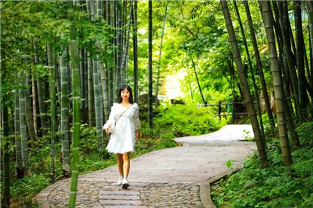 免票(piào)、半價！三八女(nǚ)神節，西(xī)九華山(shān)最美(měi)的(de)風(fēng)景送給最美(měi)的(de)你(nǐ)！（西(xī)九華山(shān)遊記）