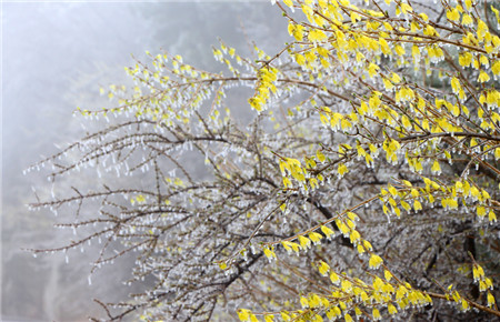 太行(xíng)大(dà)峽谷︱萬物(wù)随春醒 美(měi)好(hǎo)皆可(kě)期（太行(xíng)大(dà)峽谷風(fēng)景名勝區(qū)天氣）