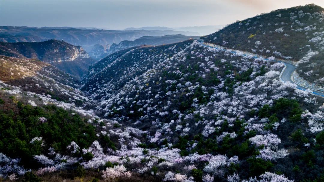“海(hǎi)陸空(kōng)”立體(tǐ)賞花(huā)！青天河(hé)最炫賞花(huā)攻略大(dà)劇(jù)透！（青天河(hé)遊覽路(lù)線）