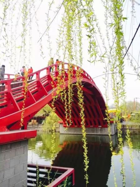 這(zhè)個(gè)春天，清明(míng)上(shàng)河(hé)園成了(le)調色闆（清明(míng)上(shàng)河(hé)園現(xiàn)）