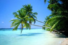 海(hǎi)南(nán)三亞海(hǎi)口分(fēn)界洲島、椰田古寨、大(dà)東(dōng)海(hǎi)、三亞灣、南(nán)山(shān)佛教文(wén)化(huà)苑、天涯海(hǎi)角、博鳌亞洲論壇成立會(huì)址、玉帶灘零海(hǎi)岸雙飛(fēi)5日(rì)遊海(hǎi)口往返(海(hǎi)南(nán)分(fēn)界洲島的(de)緯度) 海(hǎi)南(nán)三亞海(hǎi)口分(fēn)界洲島、椰田古寨、大(dà)東(dōng)海(hǎi)、三亞灣、南(nán)山(shān)佛教文(wén)化(huà)苑、天涯海(hǎi)角、博鳌亞洲論壇成立會(huì)址、玉帶灘零海(hǎi)岸雙飛(fēi)5日(rì)遊海(hǎi)口往返(海(hǎi)南(nán)分(fēn)界洲島的(de)緯度)