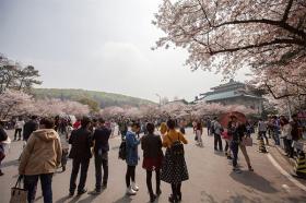 海(hǎi)南(nán)、興隆、三亞、廣州、桂林(lín)漓江、靖江王城(chéng)王府、陽朔、武漢黃(huáng)鶴樓、武大(dà)櫻花(huā)專列11日(rì)遊（廣州除了(le)長(cháng)隆還(hái)有(yǒu)哪裡(lǐ)好(hǎo)玩(wán)）